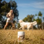 Probiotic Foods For Pets