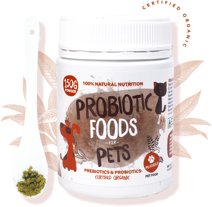 Probiotic Foods for Pets