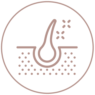 icon_4